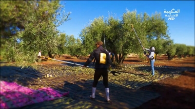 JT Maghribiya 09H13032023