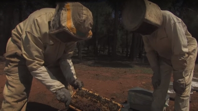 Episode 10 - أمودو