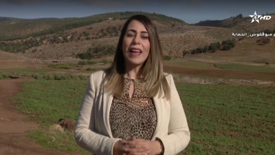 AFAK- الهدر المدرسي - Afak