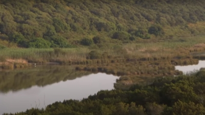 Episode 1 - أمودو