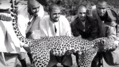 Episode 3 - أمودو