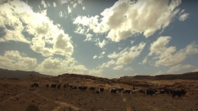 Episode 4 - أمودو