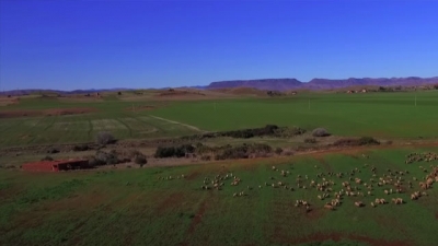 ممر السلاطين - السفر الثاني - أمودو