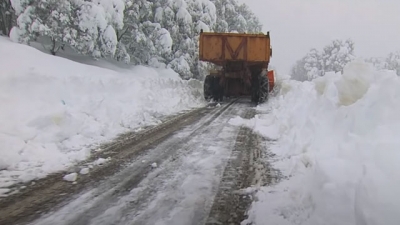 تحت رحمة الموت الأبيض - أمودو