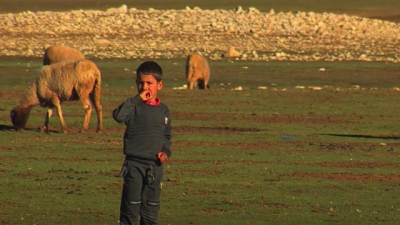 أمل وراء الأجمة - أمودو