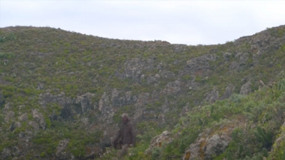 أسرار الجزر الخالدات 8 - أمودو