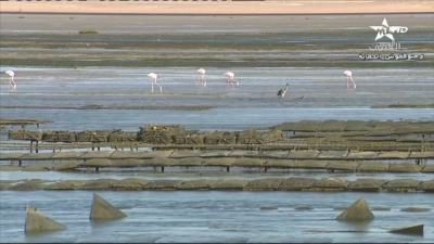 Khass An 16-01-2023 - خاص عن