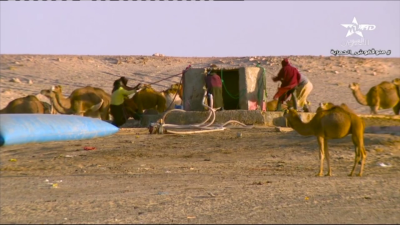  - كنوز من الصحراء