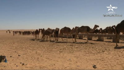 Kounouz mina sahrae 06-01-2023 - Kounouz mina sahrae