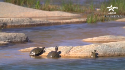 Amnir 06-01-2023 - Amnir