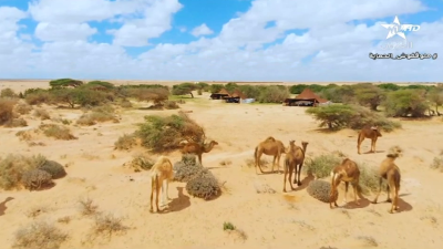 Zawaya 09-01-2023 - ZAWAYA