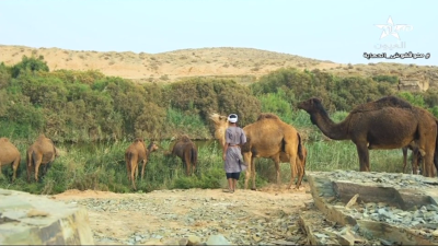 Ghab w jab 12-01-2023 - غاب وجاب