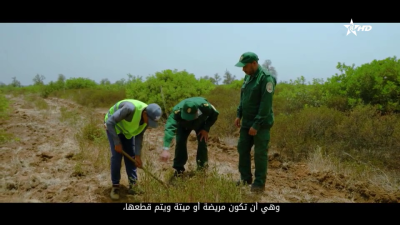 Tamgra n wakal 12-04-2023 - ⵜⴰⵎⴳⵔⴰ ⵏ ⵡⴰⴽⴰⵍ