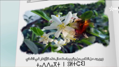 Amiri 22-05-2023 - ⴰⵎⵉⵔⵉ